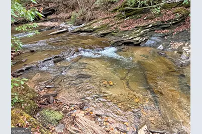 5Ac Lovejoy Lane, Talking Rock, GA 30175 - Photo 29