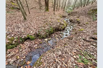 5Ac Lovejoy Lane, Talking Rock, GA 30175 - Photo 13