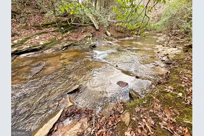 5Ac Lovejoy Lane, Talking Rock, GA 30175 - Photo 27
