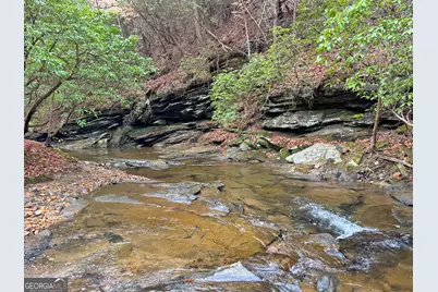 5Ac Lovejoy Lane, Talking Rock, GA 30175 - Photo 31