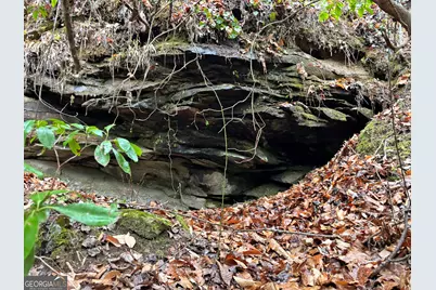 5Ac Lovejoy Lane, Talking Rock, GA 30175 - Photo 9