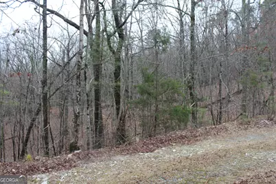 7895 Cove Rd, Woodbury, GA 30293 - Photo 37