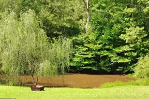 257 Shellhorse Rd SE, Ranger, GA 30734 - Photo 3