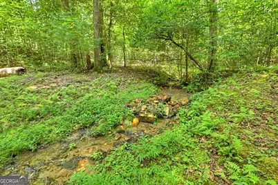 785 Wehunt Road, Blue Ridge, GA 30513 - Photo 57