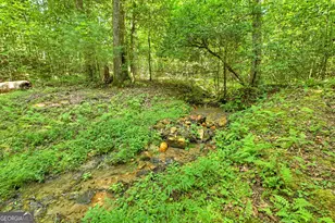 785 Wehunt Rd, Blue Ridge, GA 30513 - Photo 57