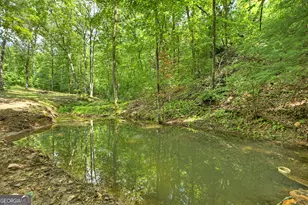 785 Wehunt Rd, Blue Ridge, GA 30513 - Photo 55