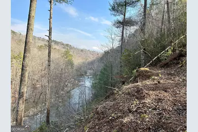 436 Meadow Lane, Talking Rock, GA 30175 - Photo 5