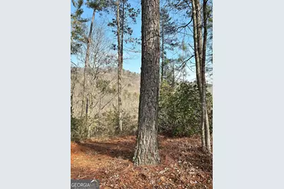 436 Meadow Lane, Talking Rock, GA 30175 - Photo 3