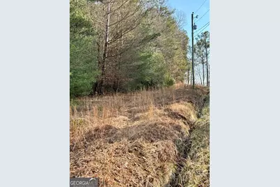 436 Meadow Lane, Talking Rock, GA 30175 - Photo 17