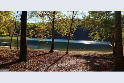 436 Meadow Lane, Talking Rock, GA 30175 - Photo 33