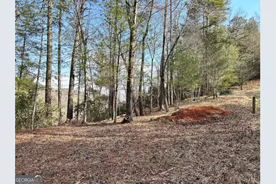 436 Meadow Lane, Talking Rock, GA 30175 - Photo 11