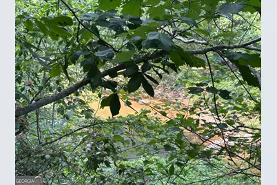 436 Meadow Lane, Talking Rock, GA 30175 - Photo 25