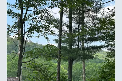 436 Meadow Lane, Talking Rock, GA 30175 - Photo 23