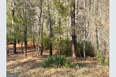 436 Meadow Lane, Talking Rock, GA 30175 - Photo 15