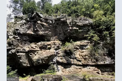 436 Meadow Lane, Talking Rock, GA 30175 - Photo 37