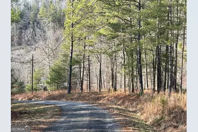 436 Meadow Lane, Talking Rock, GA 30175 - Photo 19