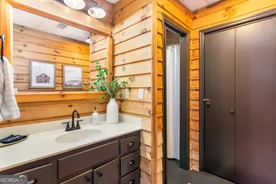 346 Rusty Lady Lane, Ellijay, GA 30536 - Photo 37