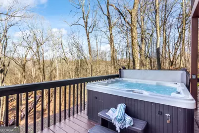 346 Rusty Lady Lane, Ellijay, GA 30536 - Photo 11