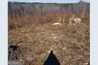 00 Thornton Drive, Elberton, GA 30635 - Photo 7