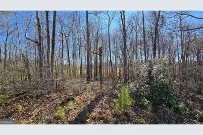 1108 Spring Creek Circle, Griffin, GA 30223 - Photo 5