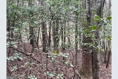 216 Holly Hill Drive, Blairsville, GA 30512 - Photo 17