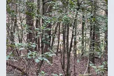 216 Holly Hill Drive, Blairsville, GA 30512 - Photo 15