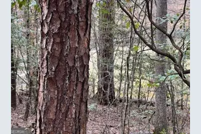 216 Holly Hill Drive, Blairsville, GA 30512 - Photo 19