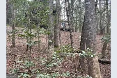 216 Holly Hill Drive, Blairsville, GA 30512 - Photo 11