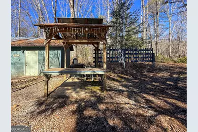 33 McNabb Lane, Clarkesville, GA 30523 - Photo 43