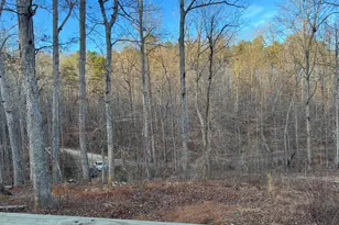 567 Suttles Rd, Martin, GA 30557 - Photo 5