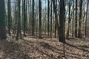 0 Fairburn Rd SW, Atlanta, GA 30331 - Photo 1