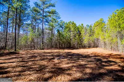 0 Hwy 166 E - 21+ Acres E, Bowdon, GA 30108 - Photo 1