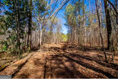 0 Hwy 166 E - 21+ Acres E, Bowdon, GA 30108 - Photo 3