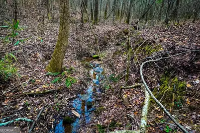 0 Hwy 166 E, Bowdon, GA 30108 - Photo 17