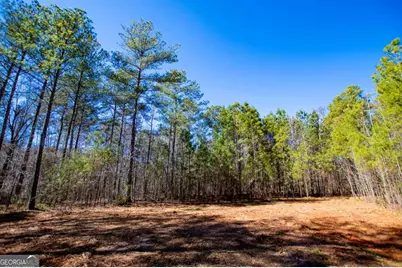 0 Hwy 166 E - 21+ Acres E, Bowdon, GA 30108 - Photo 5