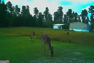 1980 Old Trader's Hill Rd, Folkston, GA 31537 - Photo 13