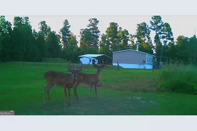 1980 Old Traders Hill Road, Folkston, GA 31537 - Photo 15