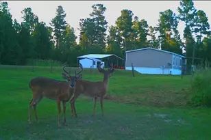 1980 Old Trader's Hill Rd, Folkston, GA 31537 - Photo 15