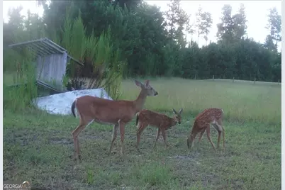 1980 Old Traders Hill Road, Folkston, GA 31537 - Photo 11
