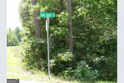 Lots 1 &amp; 2 Twin Knolls Trail, Martin, GA 30557 - Photo 13