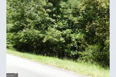 Lots 1 &amp; 2 Twin Knolls Trail, Martin, GA 30557 - Photo 21