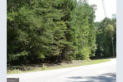 Lots 1 &amp; 2 Twin Knolls Trail, Martin, GA 30557 - Photo 19
