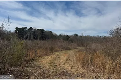 250 Perdue Road, Yatesville, GA 31097 - Photo 5