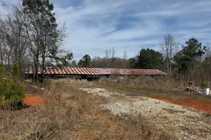 250 Perdue Rd, Yatesville, GA 31097 - Photo 1