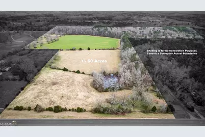 60.97+/- Acres US Hwy 19 S, Meansville, GA 30256 - Photo 1