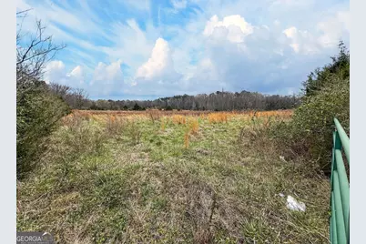 60.97+/- Acres US Hwy 19 S, Meansville, GA 30256 - Photo 23