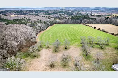 60.97+/- Acres US Hwy 19 S, Meansville, GA 30256 - Photo 13