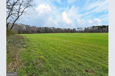 60.97+/- Acres US Hwy 19 S, Meansville, GA 30256 - Photo 27