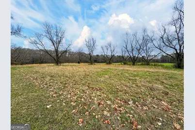 60.97+/- Acres US Hwy 19 S, Meansville, GA 30256 - Photo 25