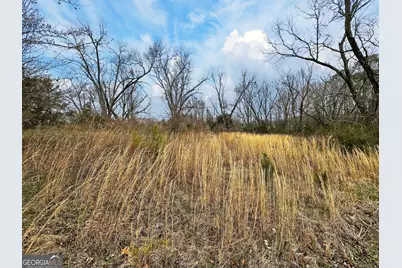 60.97+/- Acres US Hwy 19 S, Meansville, GA 30256 - Photo 19